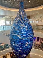 Ein Fisch schwimmt hier falsch, nur welcher? 