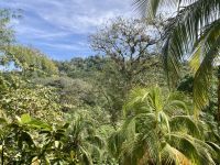 Plantage, Montego Bay, Jamaika