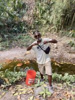 Plantage, Montego Bay, Jamaika