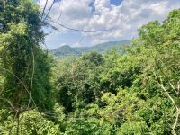 Mayan Eden Eco Park, Roatan, Honduras