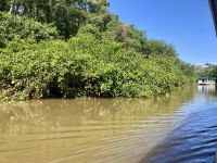 Bootsfahrt im Tortugero Nationalpark, Puerto Limon, Costa Rica