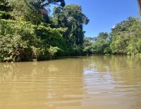 Bootsfahrt im Tortugero Nationalpark, Puerto Limon, Costa Rica