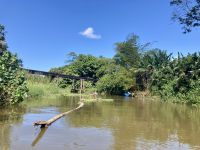 Bootsfahrt im Tortugero Nationalpark, Puerto Limon, Costa Rica