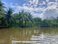 Bootsfahrt im Tortugero Nationalpark, Puerto Limon, Costa Rica