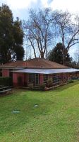Madeira: Quinta do Palheiro: Blandys Garten: Rundgang: Teehaus