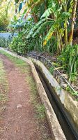 Madeira: Levada-Wanderung
