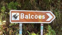 Madeira: kleine Levada-Wanderung
