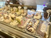 Eisbar, Mein Schiff 1