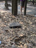 Cu Chi Tunnel