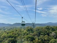 13. Tag: Tagesausflug nach Kuranda – Mit der Seilbahn über den Regenwald zurück nach Cairns