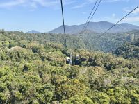 13. Tag: Tagesausflug nach Kuranda – Mit der Seilbahn über den Regenwald zurück nach Cairns