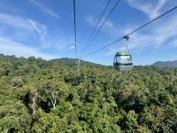 13. Tag: Tagesausflug nach Kuranda – Mit der Seilbahn über den Regenwald zurück nach Cairns