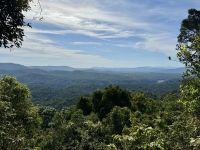 13. Tag: Tagesausflug nach Kuranda – Mit der Seilbahn über den Regenwald zurück nach Cairns – Aussicht über die Atherton Tablelands