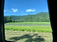 14. Tag: Fahrt mit dem „Spirit auf Queensland“ von Cairns nach Airlie Beach