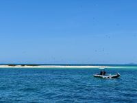 12. Tag: Tagesausflug zum Great Barrier Reef – Michaelmas Cay