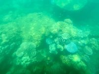 12. Tag: Tagesausflug zum Great Barrier Reef – Korallen vor Michaelmas Cay