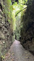 050 Wanderweg Vulkan Mombacho