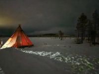 Huskyschlitten-Fahrt