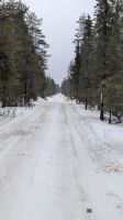 20250223_8-Weg zur Ruka Safari.jpg