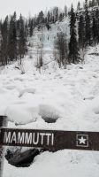 20250226_15-der Mammut-Wasserfall.jpg
