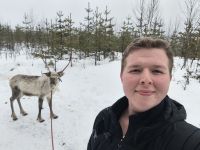 Rentierfarm in Lappland, Finnland