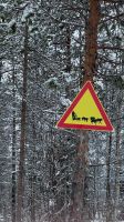 Huskyschlittentour in Lappland, Finnland