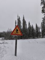 Besondere Verkehrsschilder in Lappland, Finnland