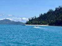 15. Tag: Tagesausflug mit der Camira zur Whitsunday Island – Zwischenstopp zum Schnorcheln