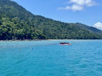 15. Tag: Tagesausflug mit der Camira zur Whitsunday Island – Zwischenstopp zum Schnorcheln