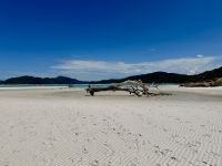 15. Tag: Tagesausflug mit der Camira zur Whitsunday Island – Whitehaven Beach