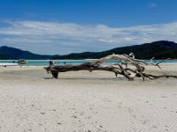 15. Tag: Tagesausflug mit der Camira zur Whitsunday Island – Whitehaven Beach