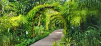 30 Orchideengarten Singapur