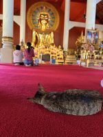 Chiang Mai - Wat Pra