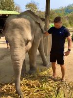 Chiang Mai - Elephant Jungle Sanctuary