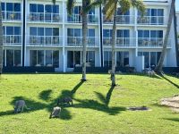 18. Tag: Tagesausflug auf die Daydream Island – Wallabys am Resort