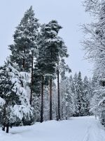 Tag 4 - Winterlicher Spaziergang in Finnland