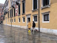 Venedig. Hund ohne Gummistiefel 