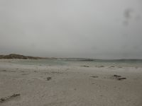 Falklandinseln - Stanley - Yorke Bay