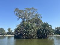 Buenos Aires - Rosengarten