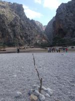 DSCN9787.JPG  Schlucht