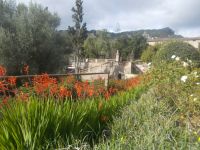 DSCN9919.JPG  Raixa