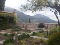 DSCN9948.JPG  Gartenblick