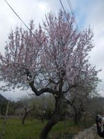DSCN9962.JPG