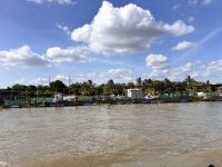 Pangasius Fischzucht im Mekong Delta