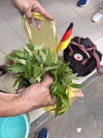 Cai Rang Markt, Herr Thuan erklärt seinen Einkauf