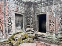 Siem Reap, Ta Prohm Tempel