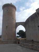 DSCN0009.JPG   Bellver Palma