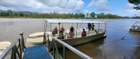 269 Bootsfahrt Daintree River