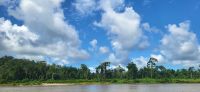 274 Bootsfahrt Daintree River