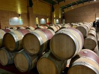 Neue Eichenfaesser aus Frankreich